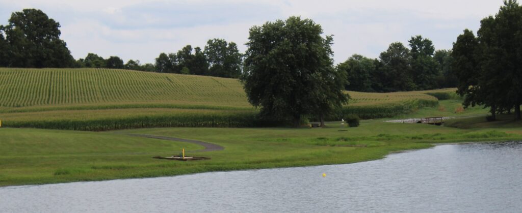 Farmland near Dixon, KY.